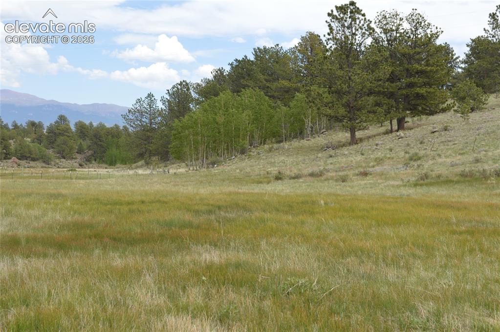 344 Valley Road Guffey, CO 80820 - Photo 14 of 15 a view of a yard with a tree