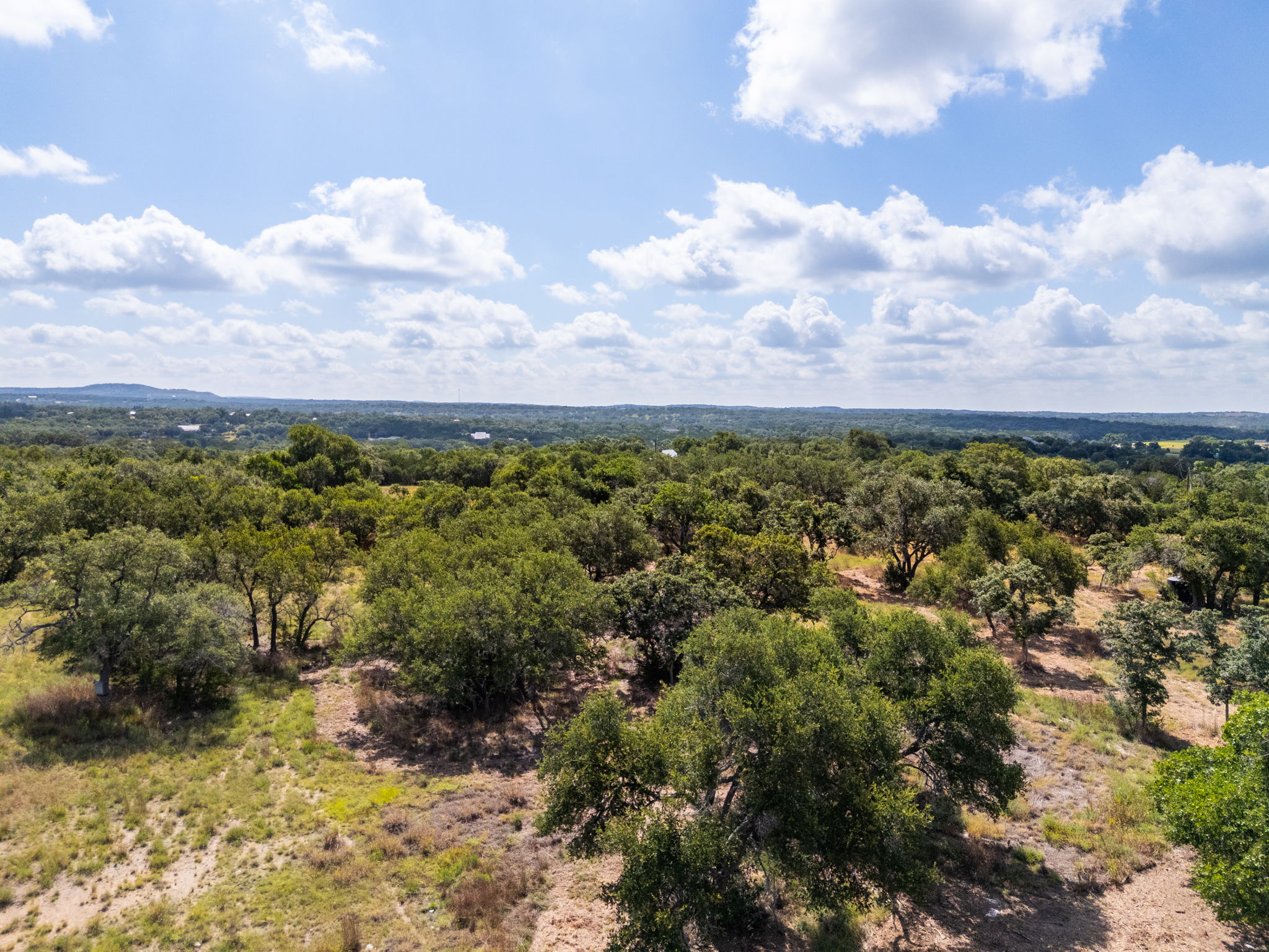 5385 Ranch Road 165 Blanco, TX 78606 - Photo 26 of 40 Vast, open acreage offering a picturesque landscape with natural tree coverage and distant hills.