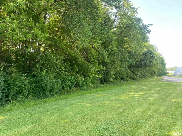 $9,900 | None None None Avenue, Jacksonville, IL 62650