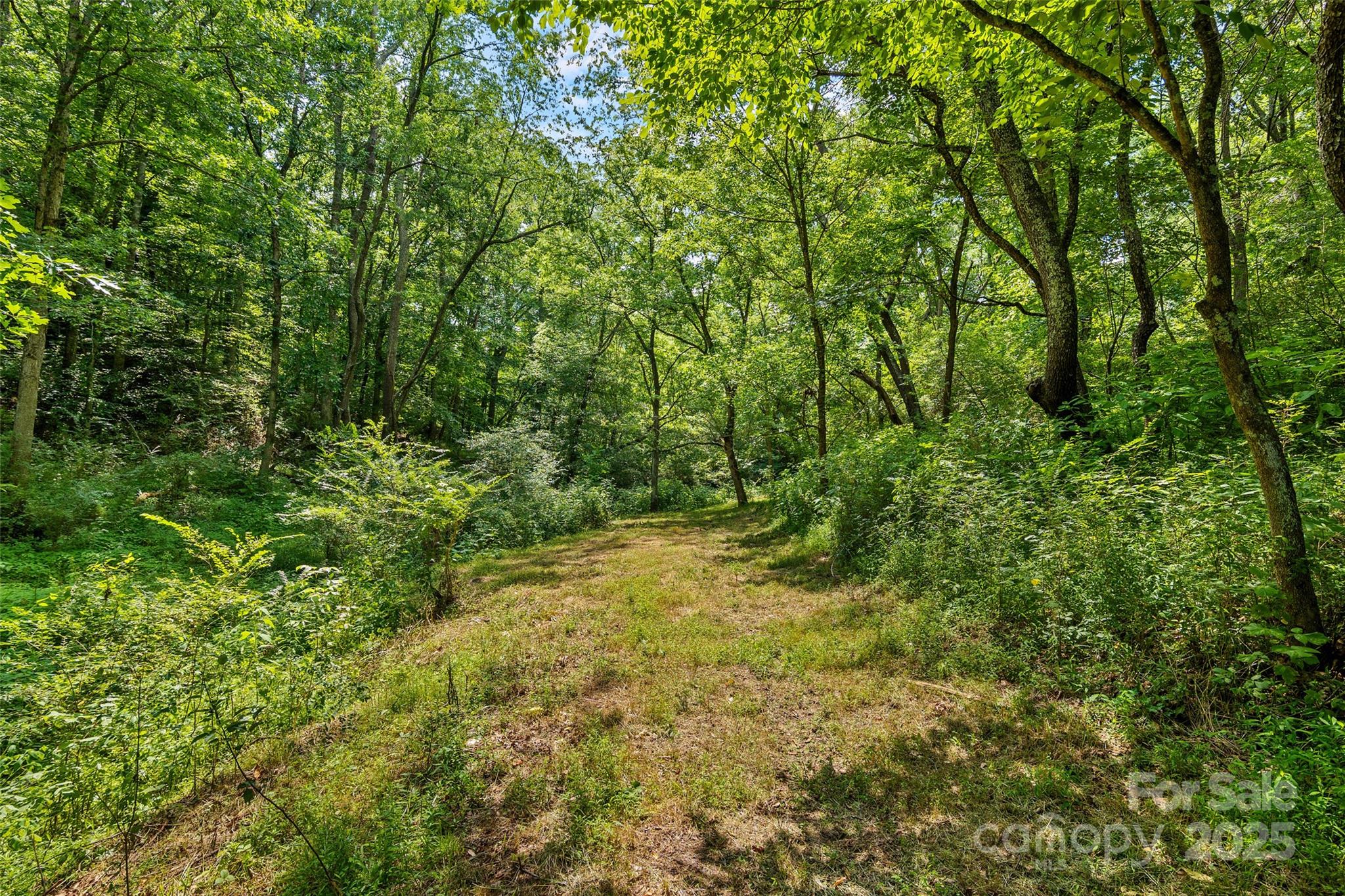 113 Grandview Road Alexander, NC 28701 - Photo 12 of 13 Gallery Image 12