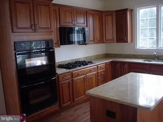 2722 Springfield Road Broomall, PA 19008 - Photo 5 of 6 Gallery Image 5