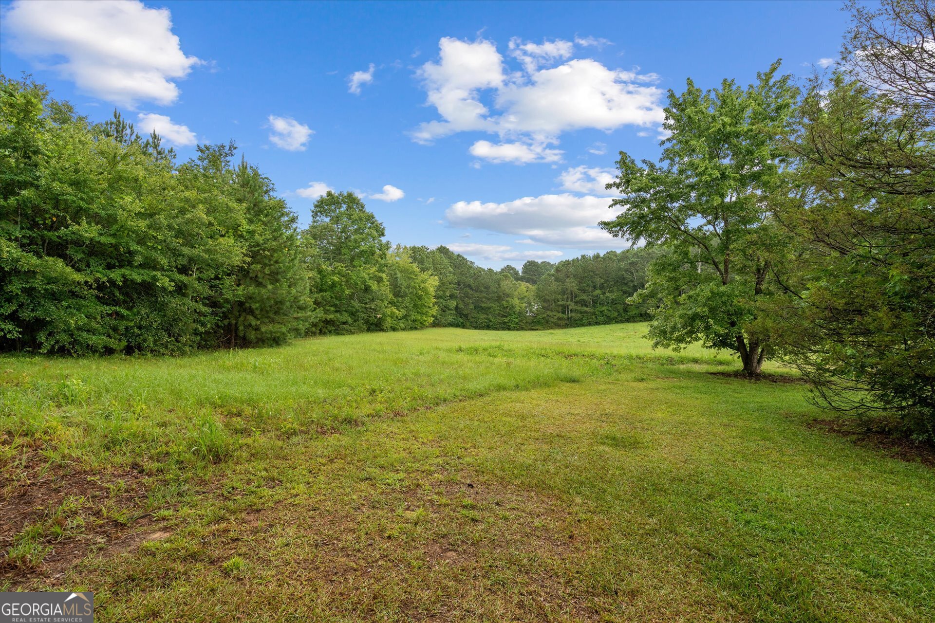 2643 Macedonia Road Franklin, GA 30217 - Photo 34 of 47 a view of a big yard with swimming pool and green space