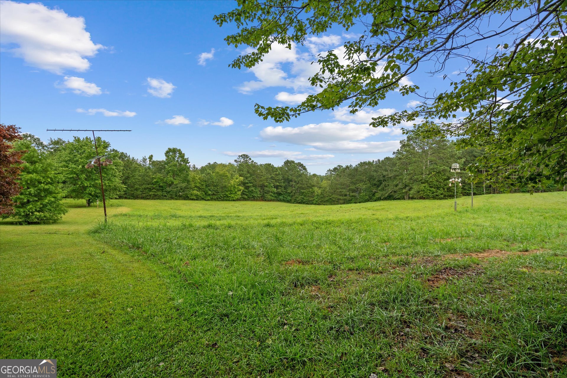 2643 Macedonia Road Franklin, GA 30217 - Photo 35 of 47 a view of yard with green space