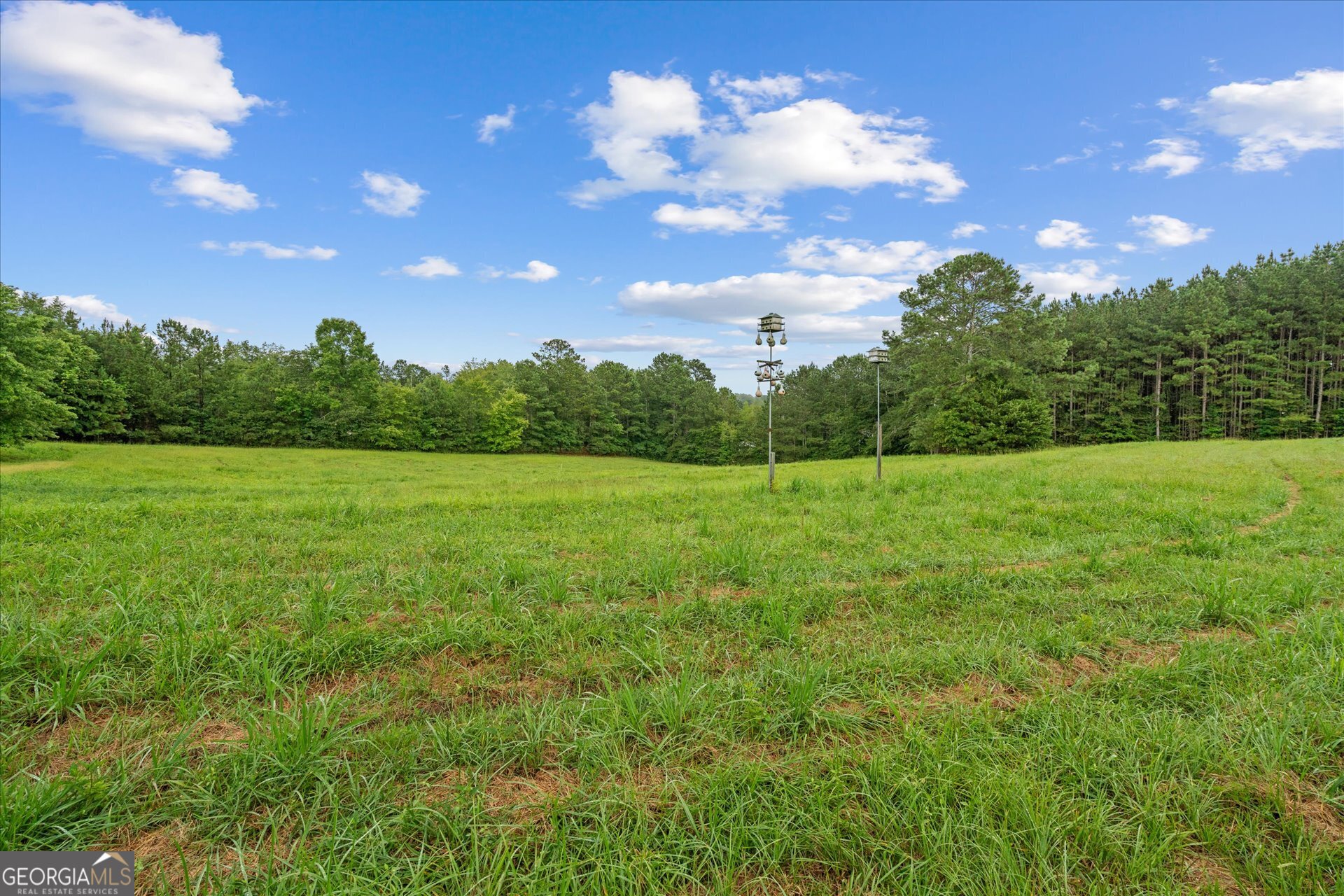 2643 Macedonia Road Franklin, GA 30217 - Photo 37 of 47 a view of an outdoor space and yard