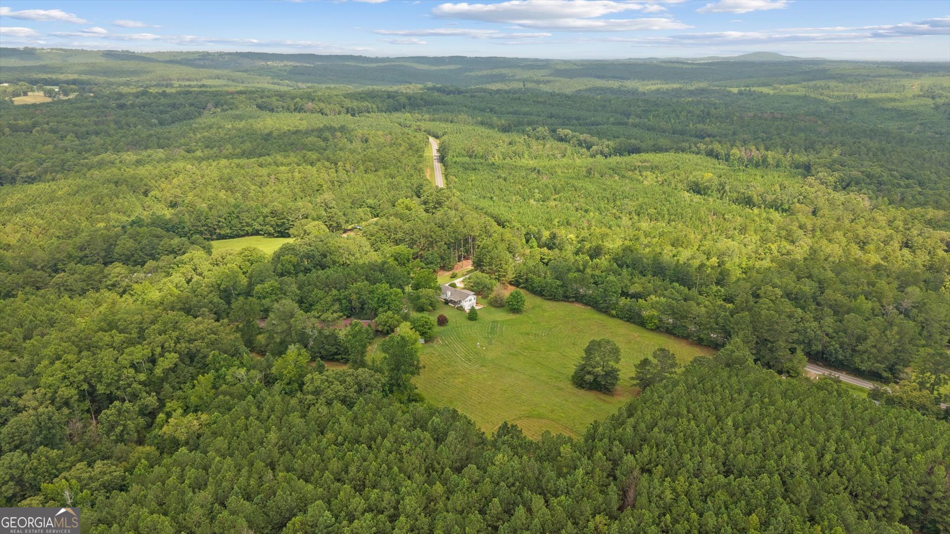 2643 Macedonia Road Franklin, GA 30217 - Photo 45 of 47 a view of a lake with a yard