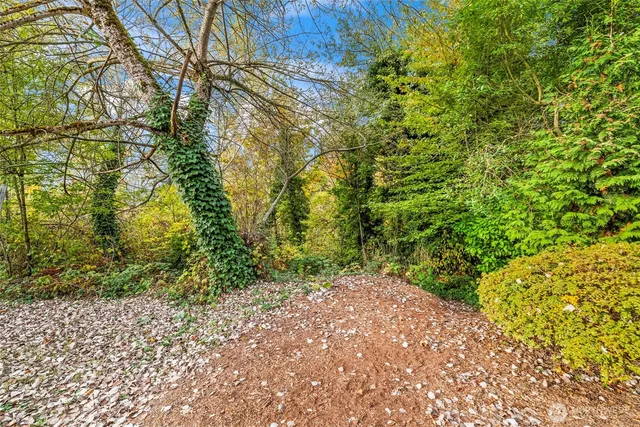 a view of backyard with green space