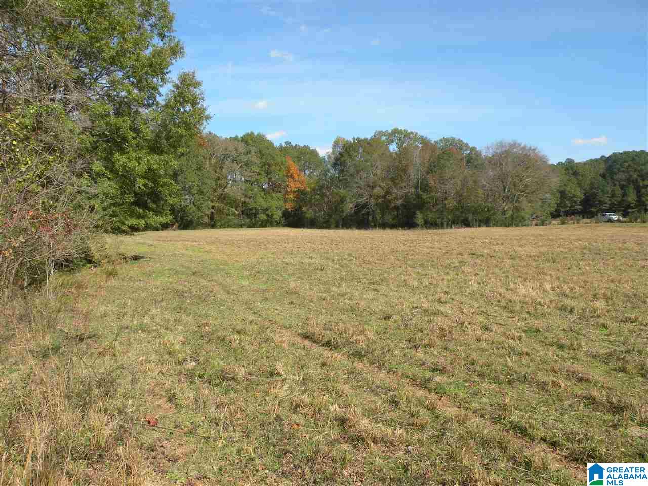 4950 Plantersville Road Alpine, AL 35014 - Photo 45 of 47 Gallery Image 45