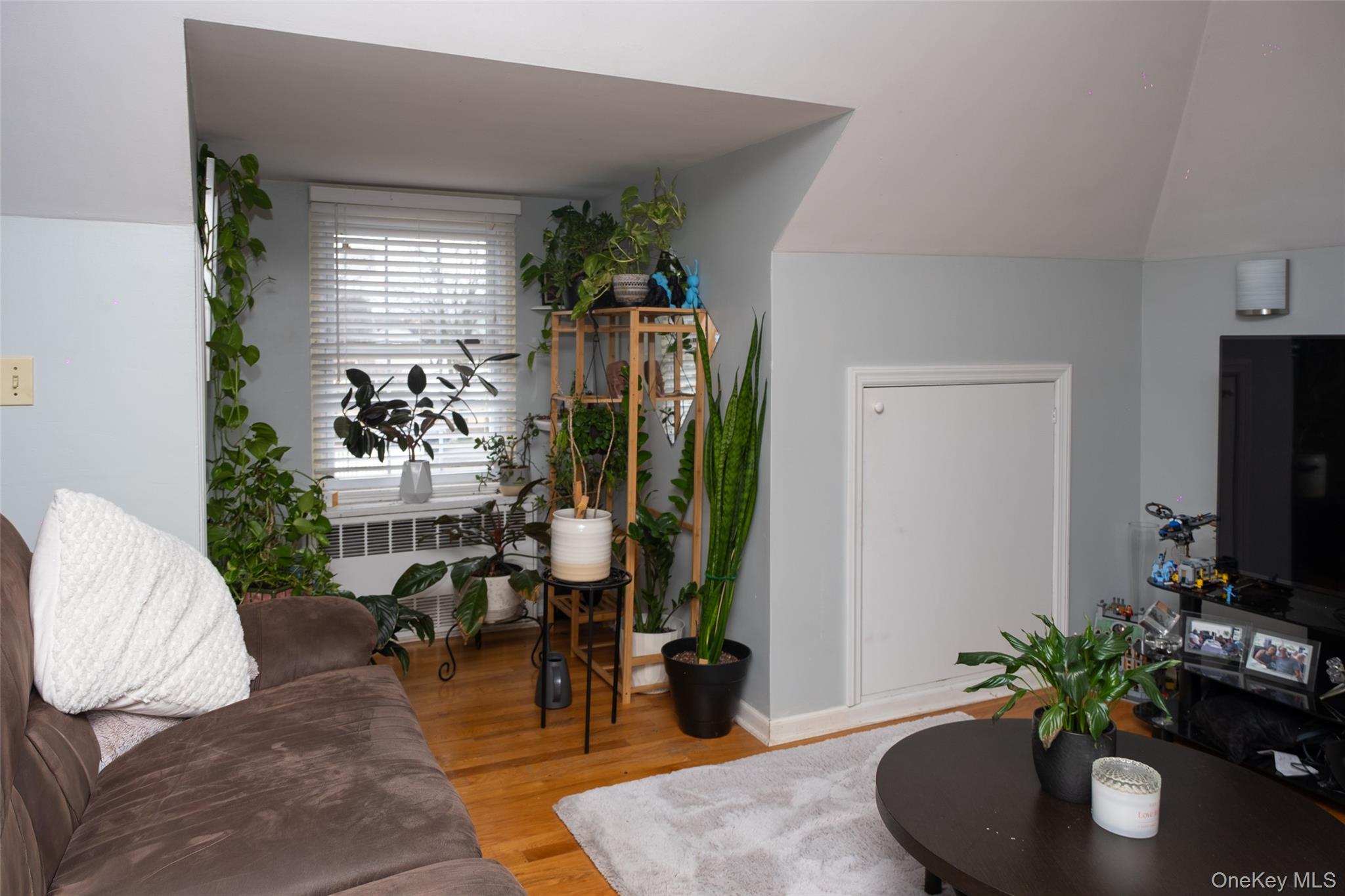 24 Whaley Street Freeport, NY 11520 - Photo 26 of 36