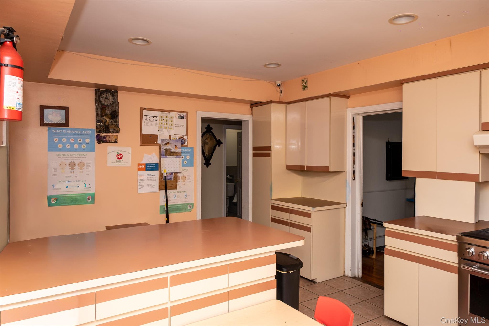 24 Whaley Street Freeport, NY 11520 - Photo 7 of 36