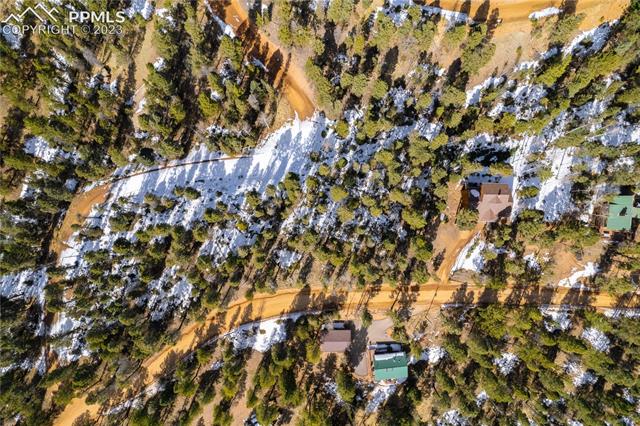 1126 Pinewood Road Florissant, CO 80816 - Photo 4 of 9