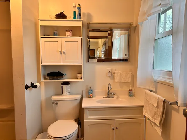 a bathroom with a toilet sink vanity and mirror