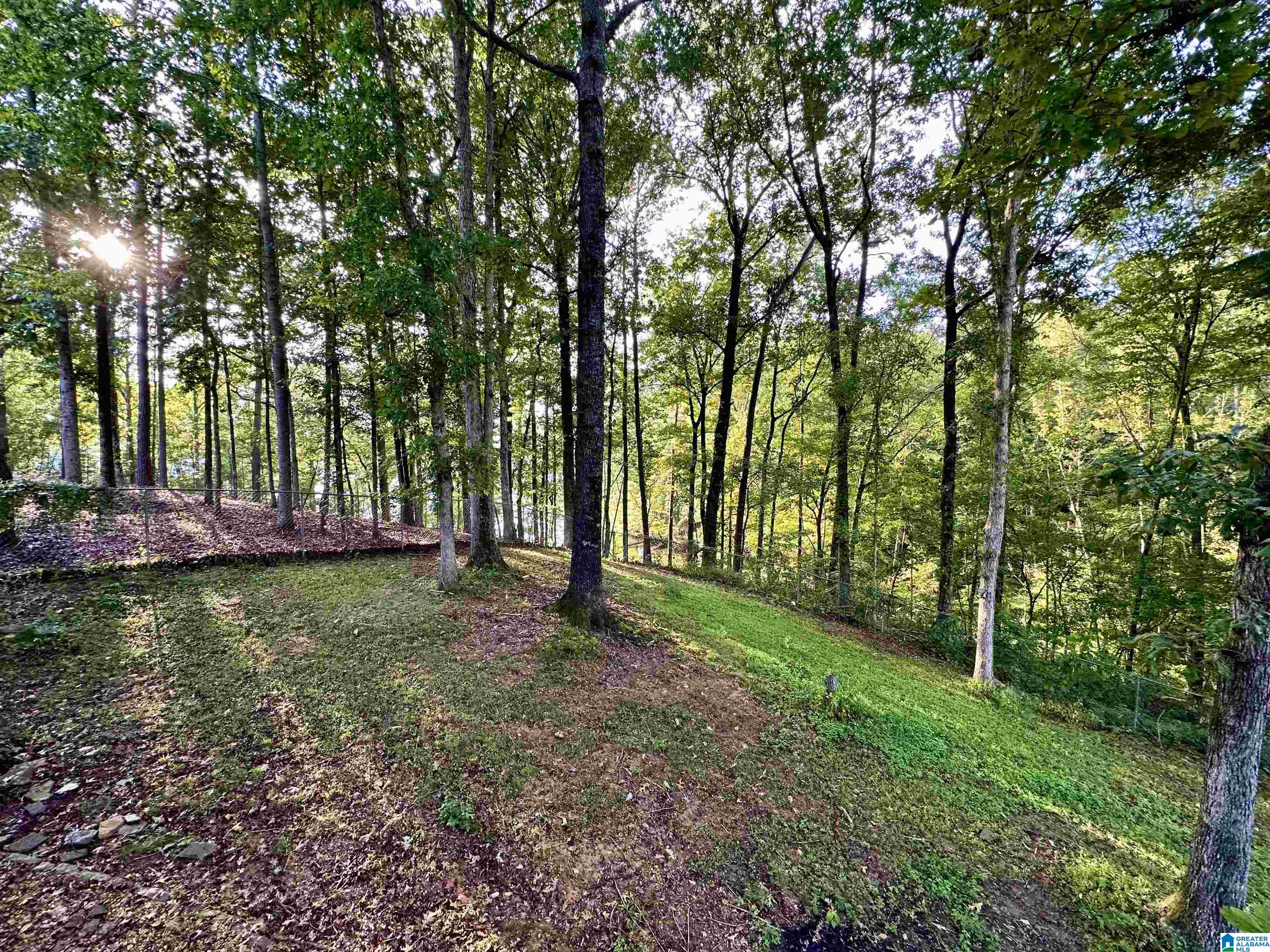 36 River Run Alexander City, AL 35010 - Photo 16 of 20