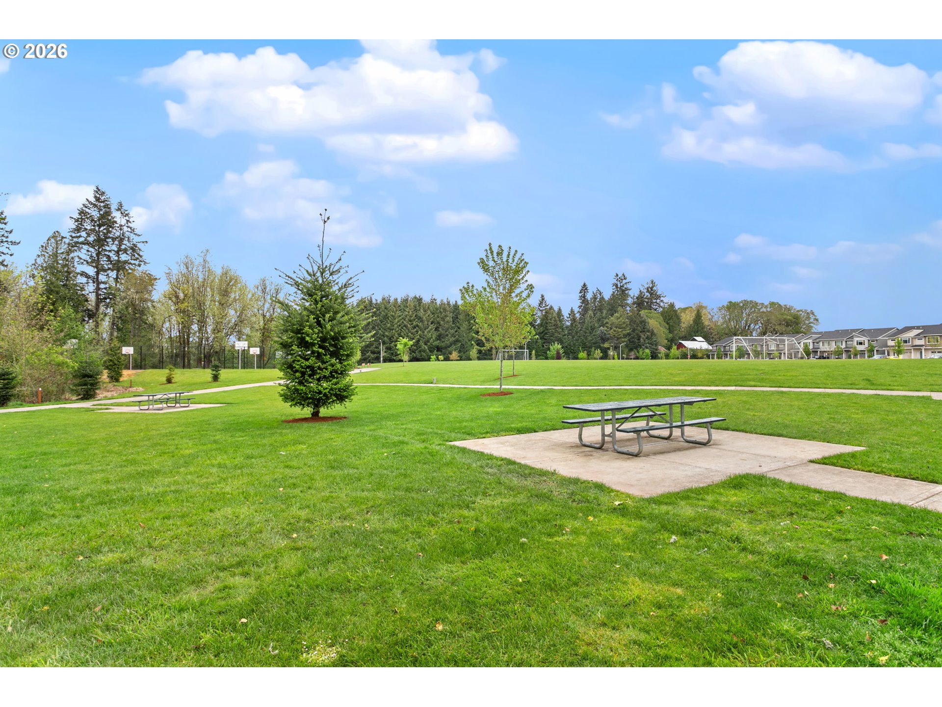 808 South 23rd Avenue Cornelius, OR 97113 - Photo 35 of 36 a view of a park with large trees