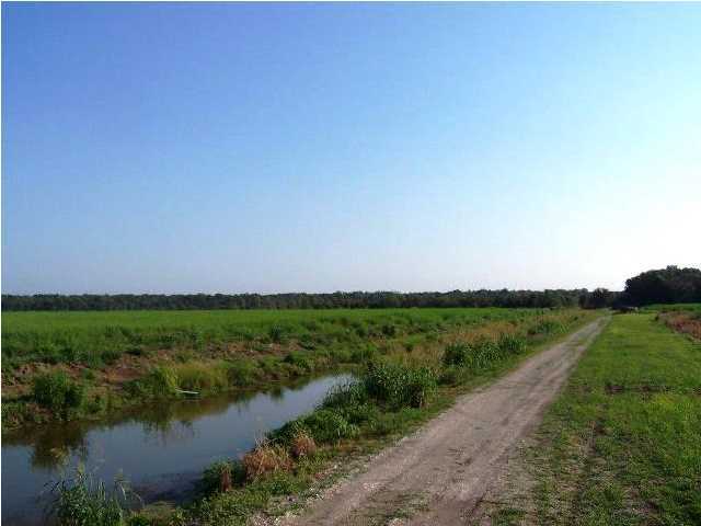 0 Old Jeanerette Road New Iberia, LA 70563 - Photo 9 of 12 Additional Photo