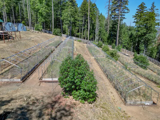 $499,000 | 311 Ward Placer Place, Weaverville, CA 96093