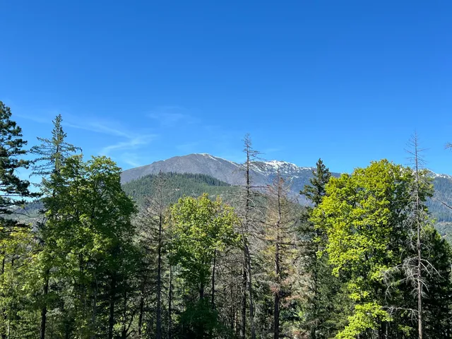 $499,000 | 311 Ward Placer Place, Weaverville, CA 96093