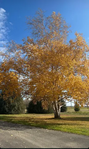 $290,000 | 19945 195th Avenue, Glenwood, MN 56334