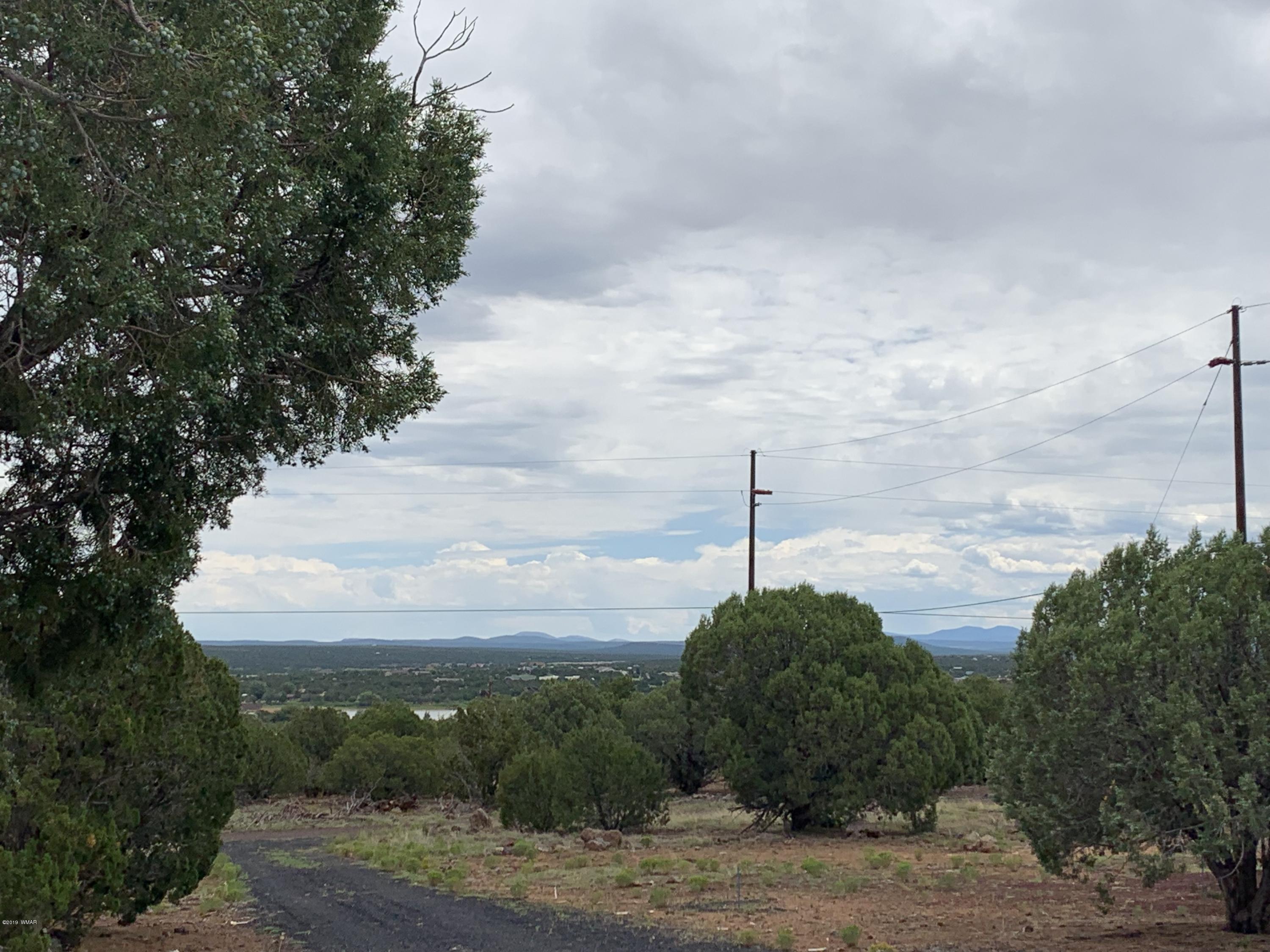 2064 Parker Ranch Road Show Low, AZ 85901 - Photo 26 of 29 Gallery Image 26