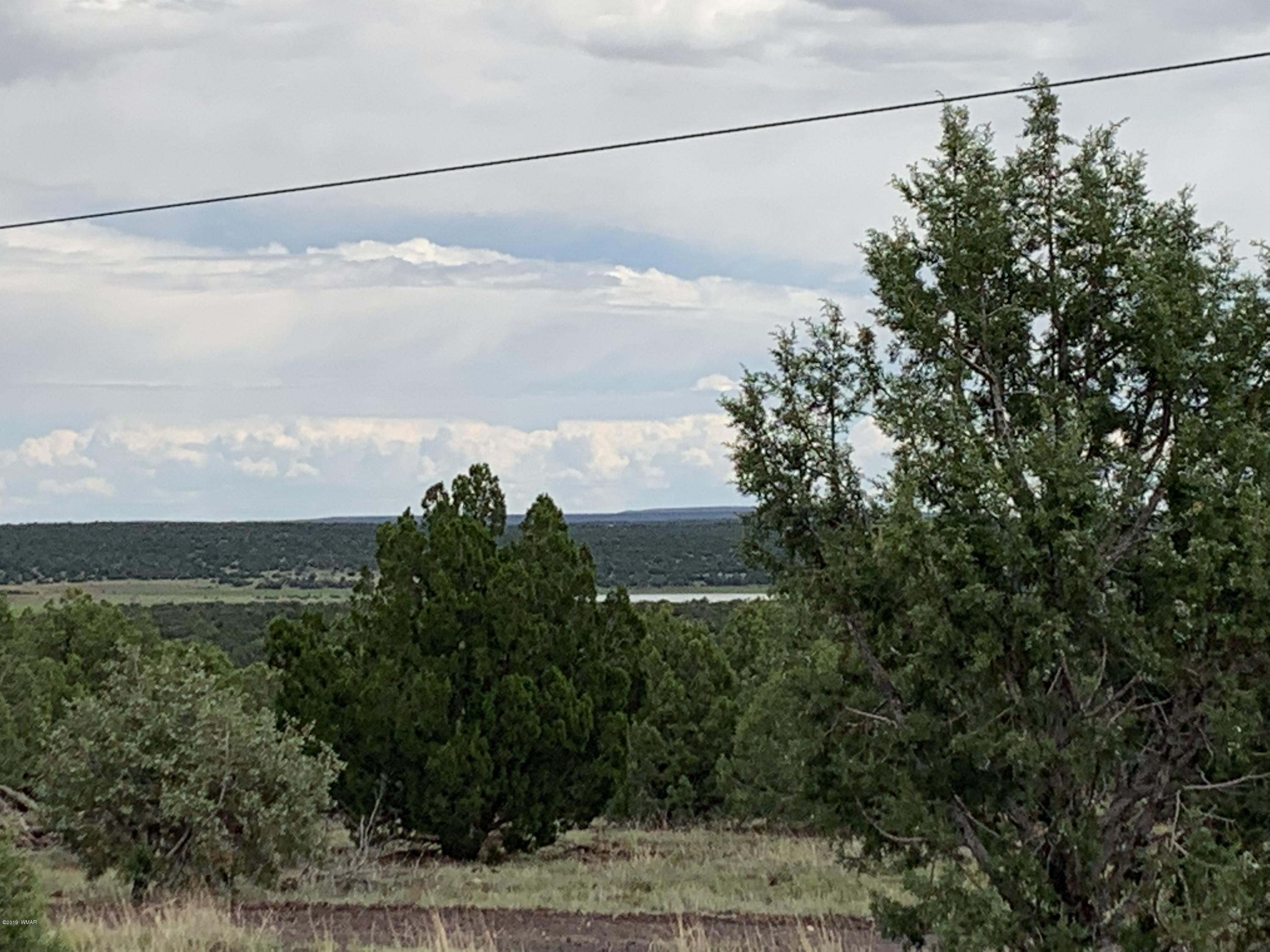 2064 Parker Ranch Road Show Low, AZ 85901 - Photo 27 of 29 Gallery Image 27