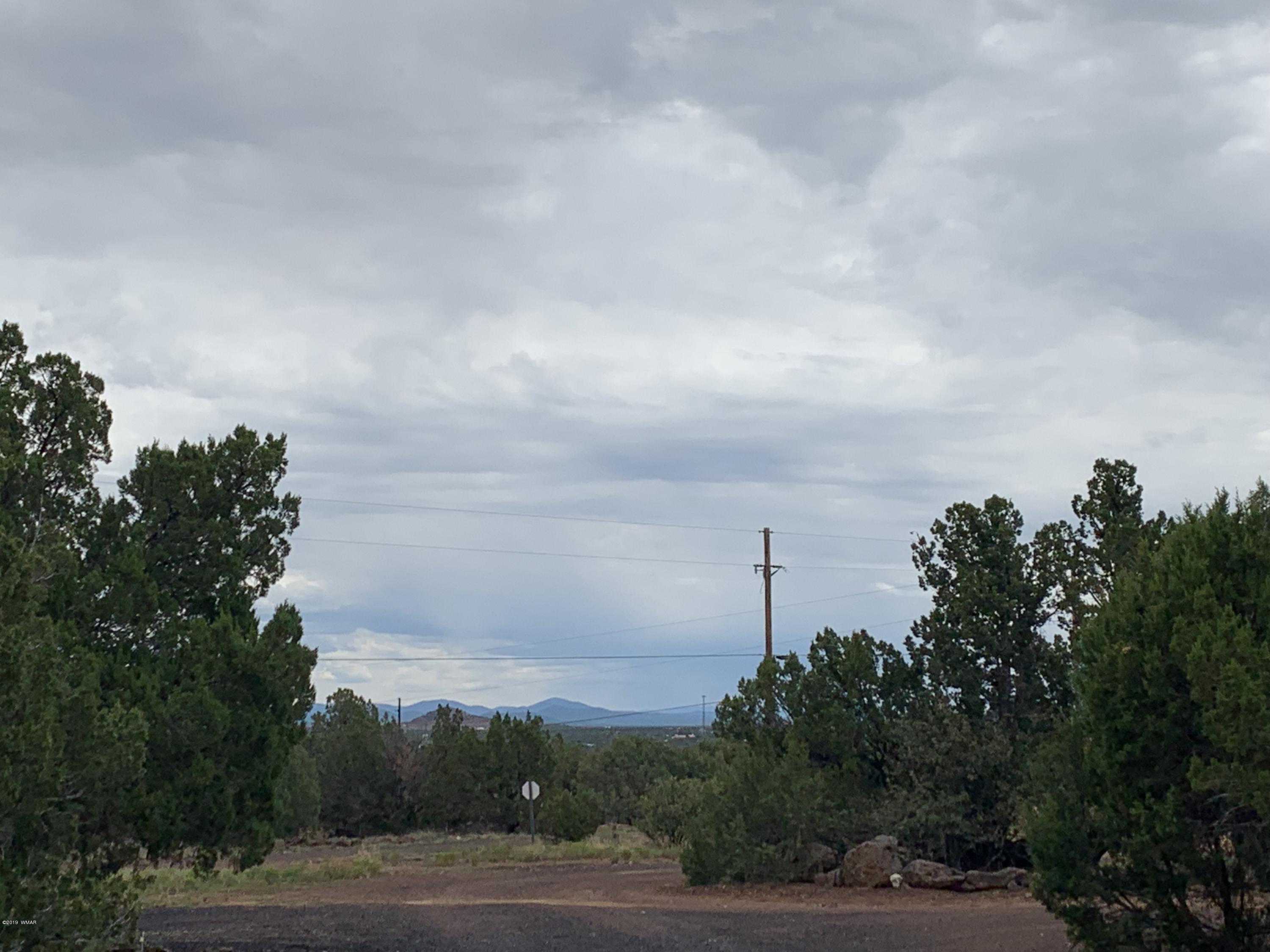 2064 Parker Ranch Road Show Low, AZ 85901 - Photo 28 of 29 Gallery Image 28