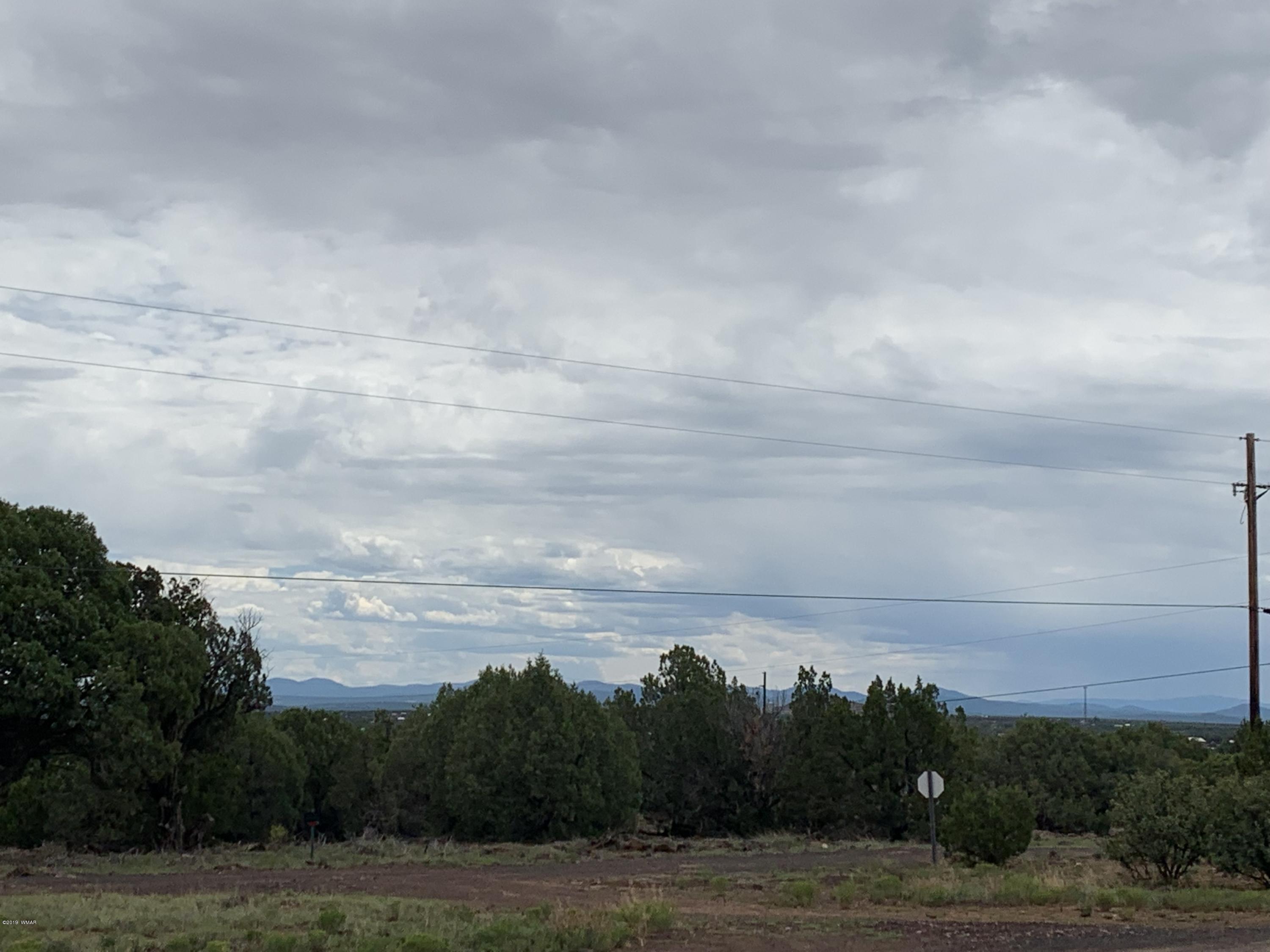 2064 Parker Ranch Road Show Low, AZ 85901 - Photo 29 of 29 Gallery Image 29
