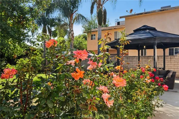 a view of a chair and table in backyard of the house