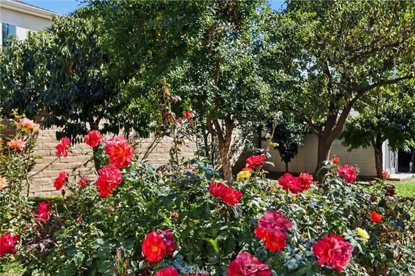 a view of a yard with trees