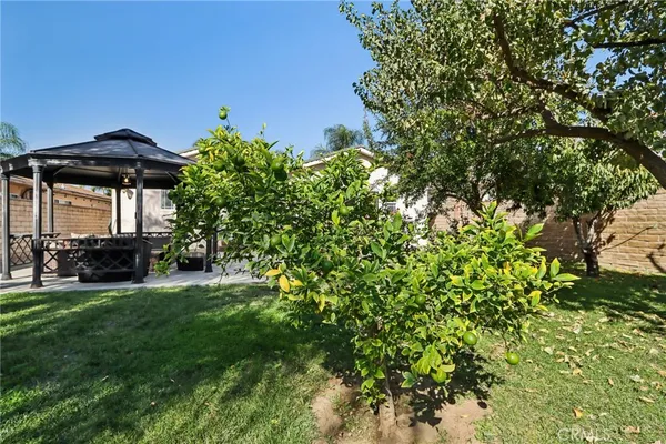 a view of a house with a tree