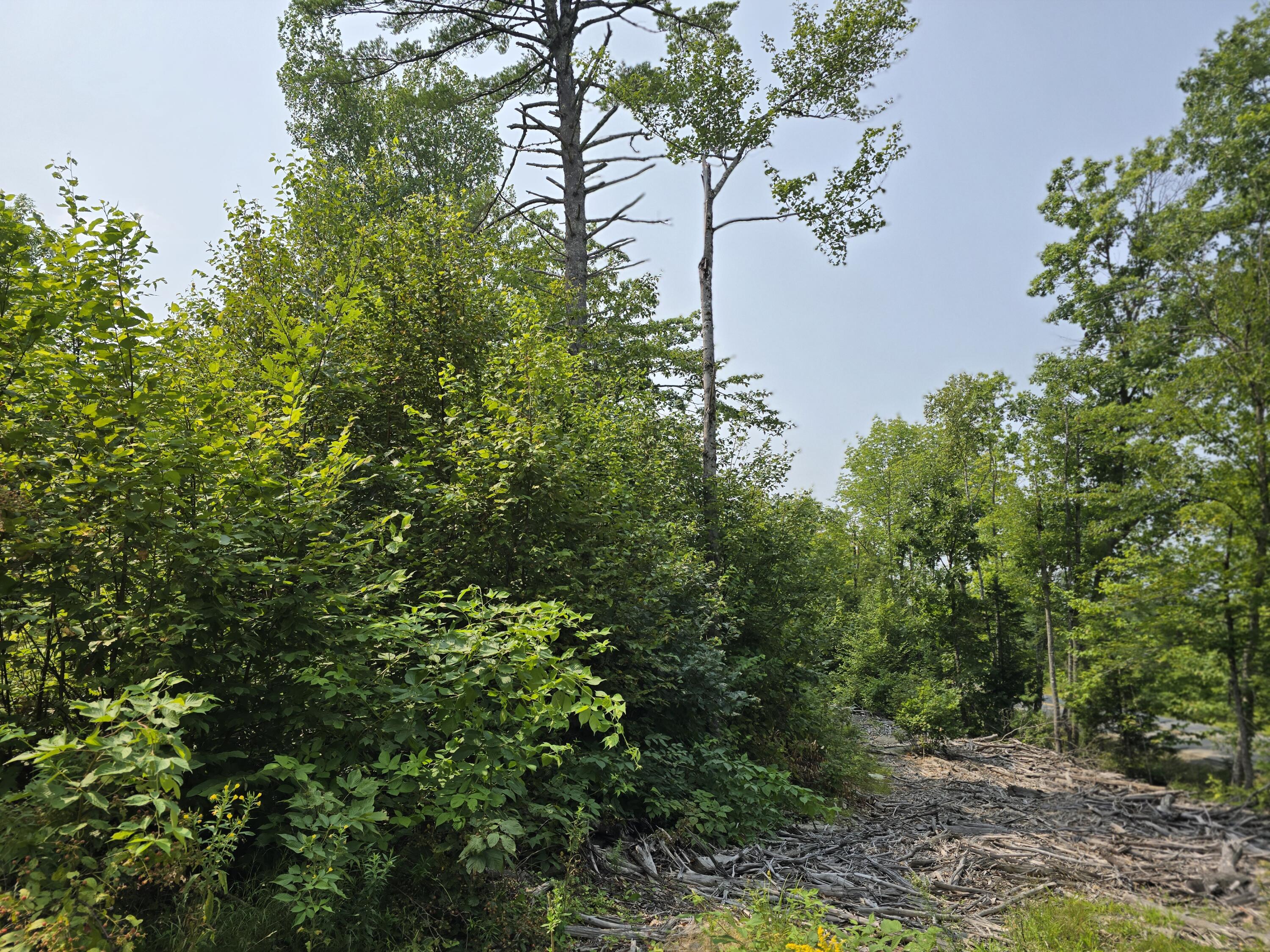 Lot7 Lot7 Bear Brook Sebec, ME 04481 - Photo 14 of 18