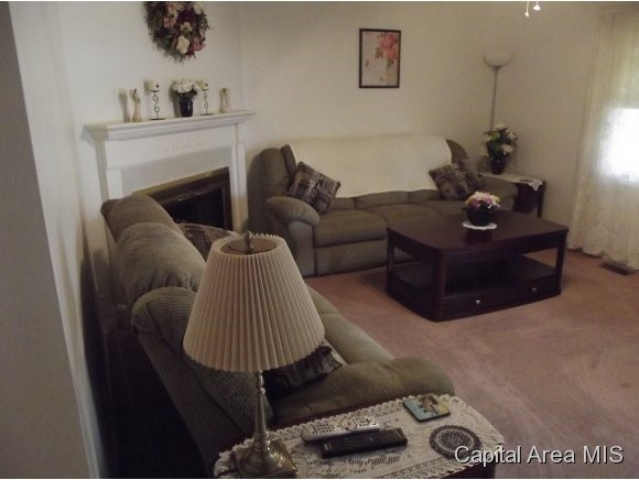 900 Helene Street Springfield, IL 62702 - Photo 9 of 18