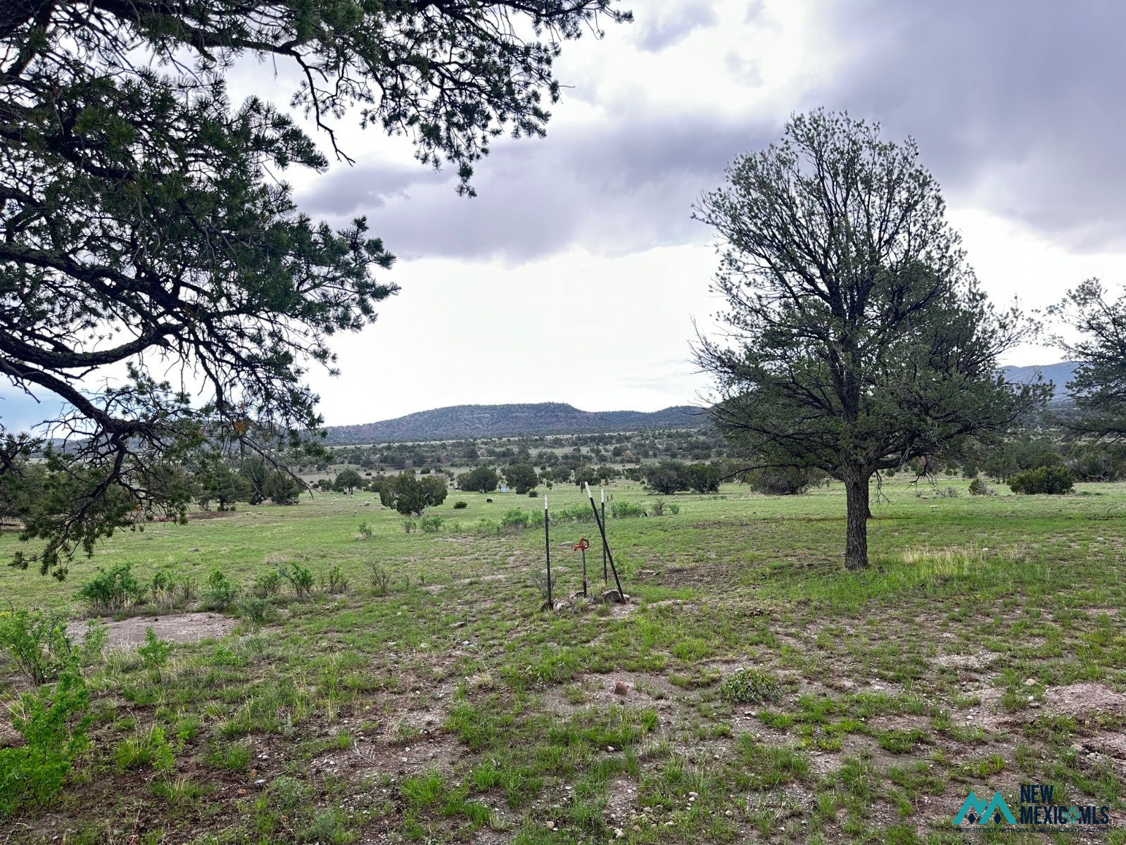33 Navajo Way Datil, NM 87821 - Photo 45 of 49 Gallery Image 45