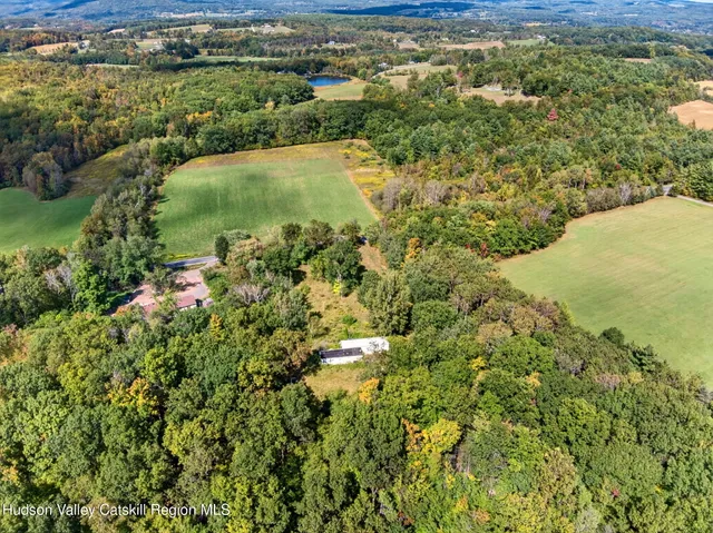 a view of a city with lush green forest