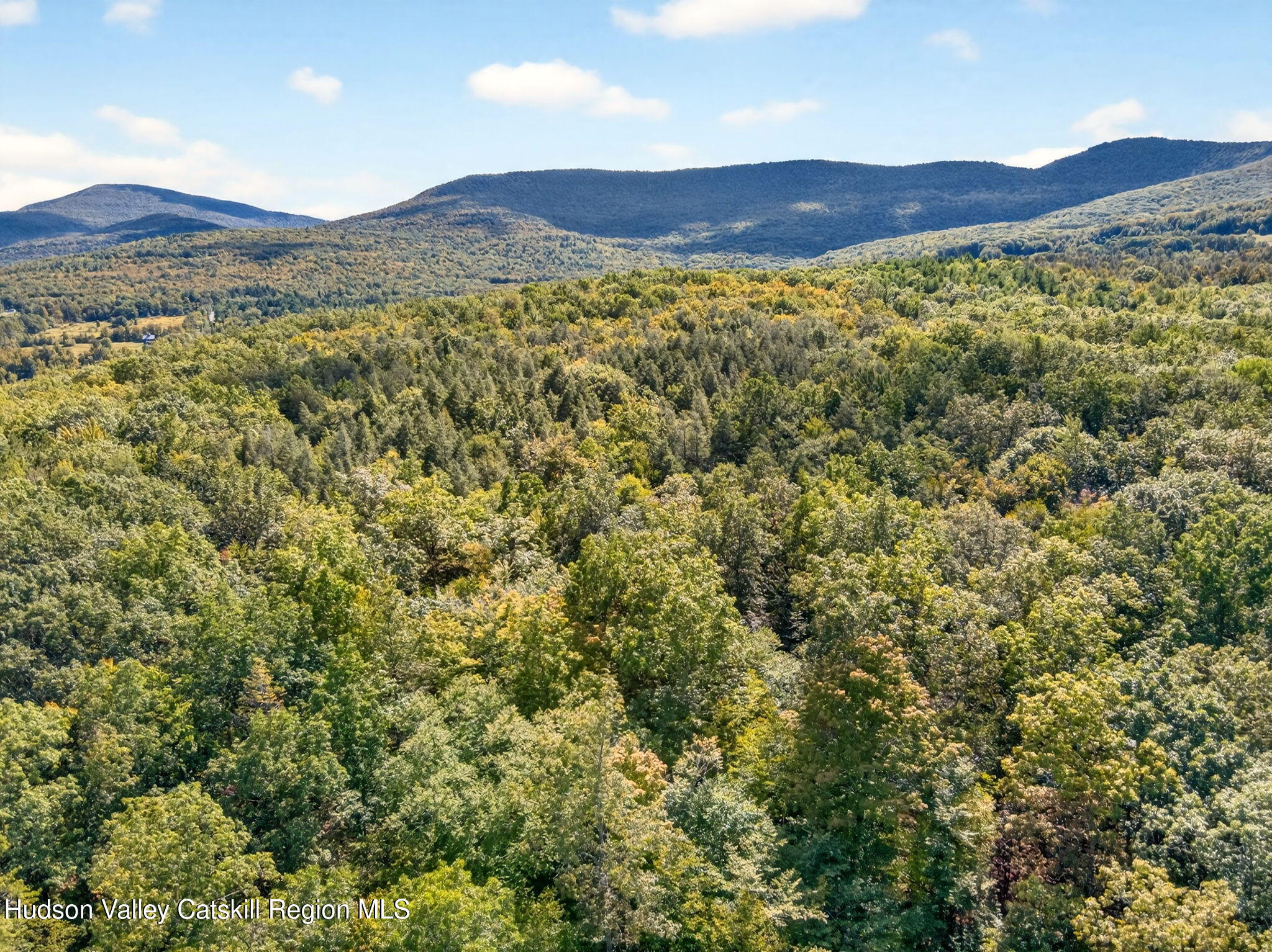 189 Sutton Road Cornwallville, NY 12418 - Photo 3 of 18 a view of a large mountain with a mountain in the background