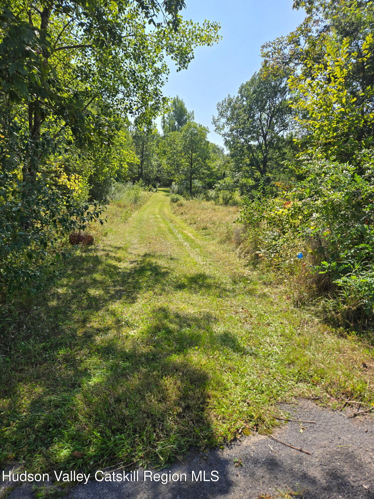 189 Sutton Road Cornwallville, NY 12418 - Photo 4 of 18 a view of a yard