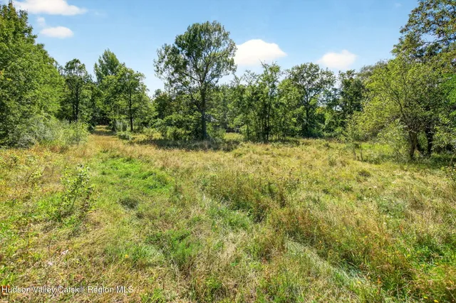 a view of a yard with a tree