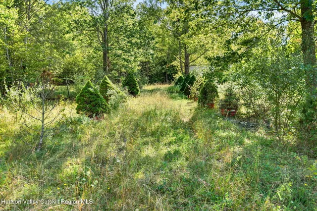 a backyard of a house with lots of plants