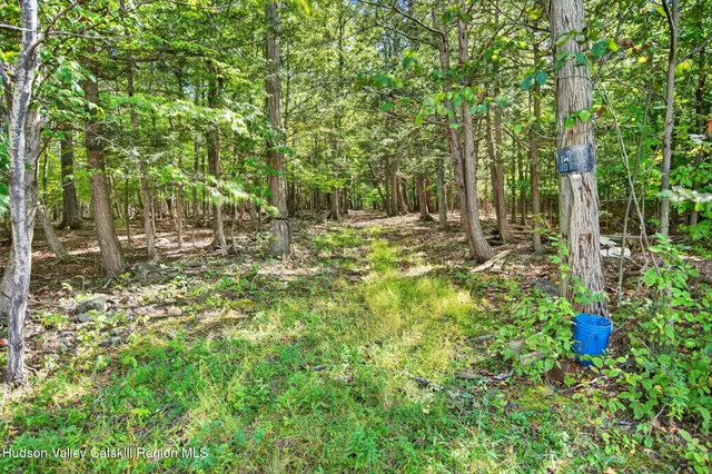 a fire hydrant in the middle of a field