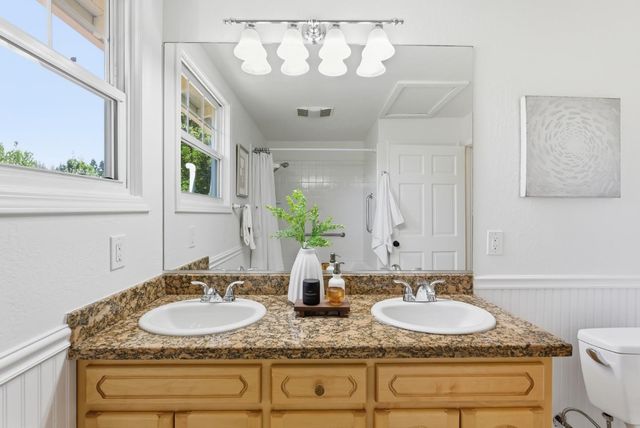 a view of a backyard with plants