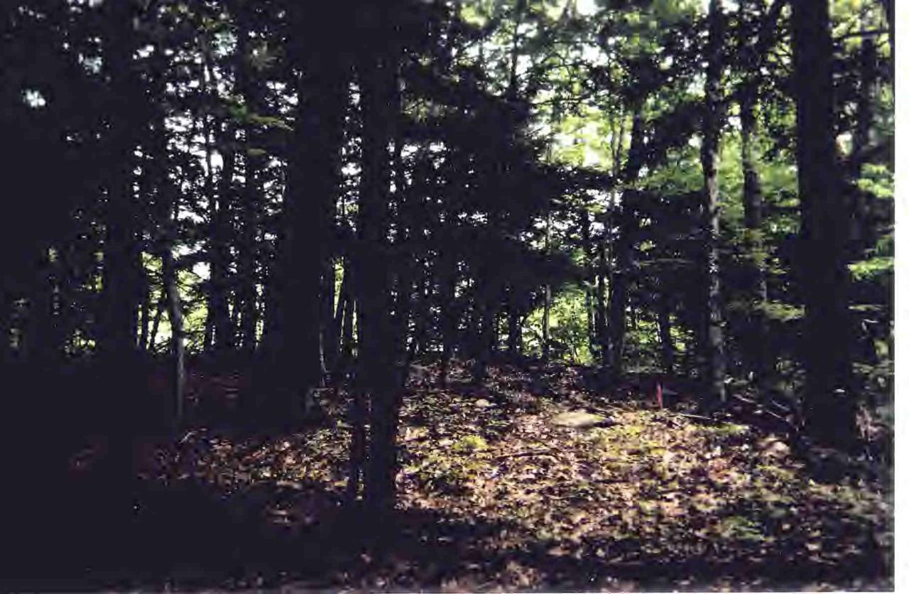 Lot 69 Chipman Road Middlefield, MA 01011 - Photo 1 of 3