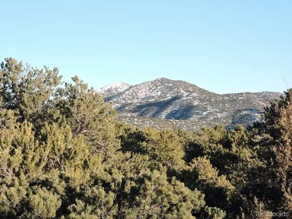 $14,000 | Undisclosed Address, Blanca, CO 81123