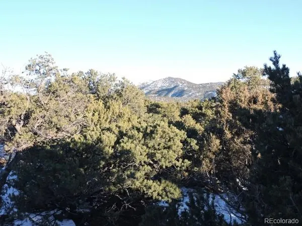$14,000 | Undisclosed Address, Blanca, CO 81123