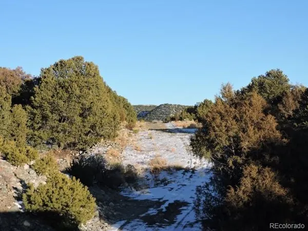 $14,000 | Undisclosed Address, Blanca, CO 81123