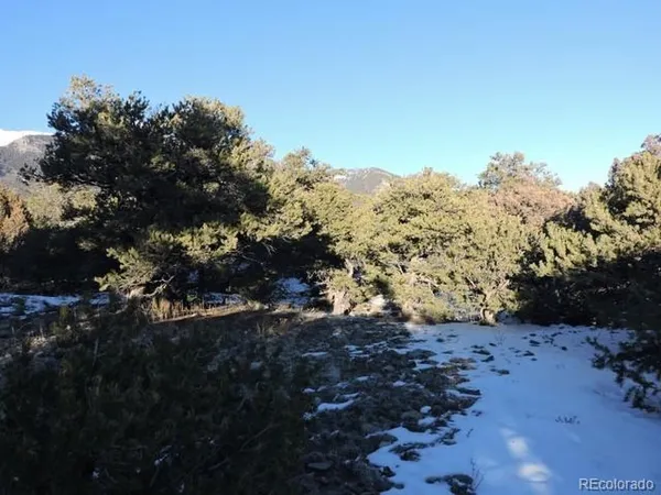 $14,000 | Undisclosed Address, Blanca, CO 81123