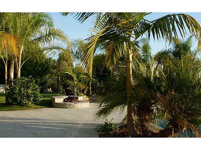 3536 Dove Hollow Road Encinitas, CA 92024 - Photo 16 of 25 Pool Deck and tropical backyard