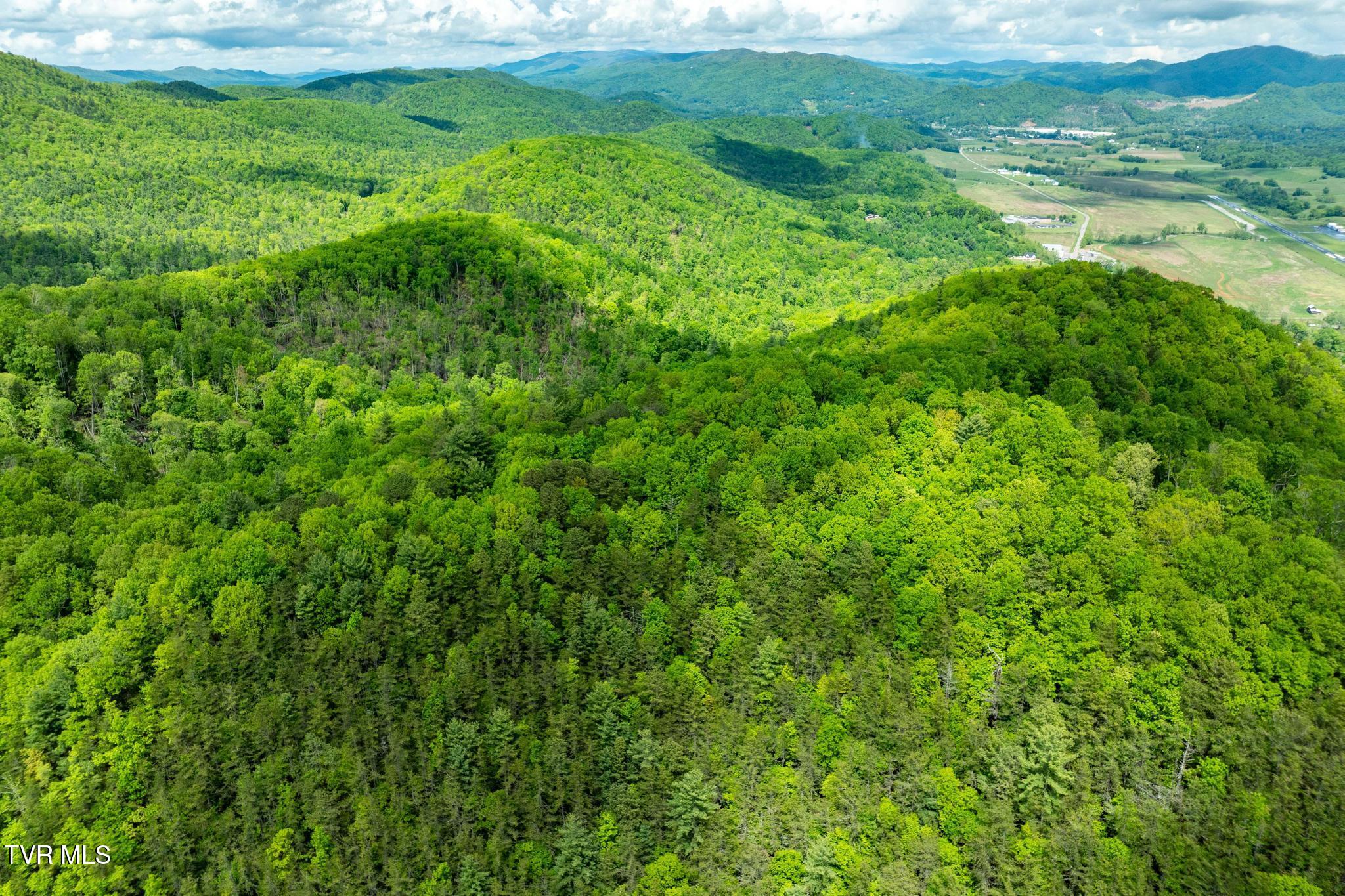 Tbd Fire Tower Road Mountain City, TN 37683 - Photo 11 of 19 TBD Fire Tower Road (14 of 22)