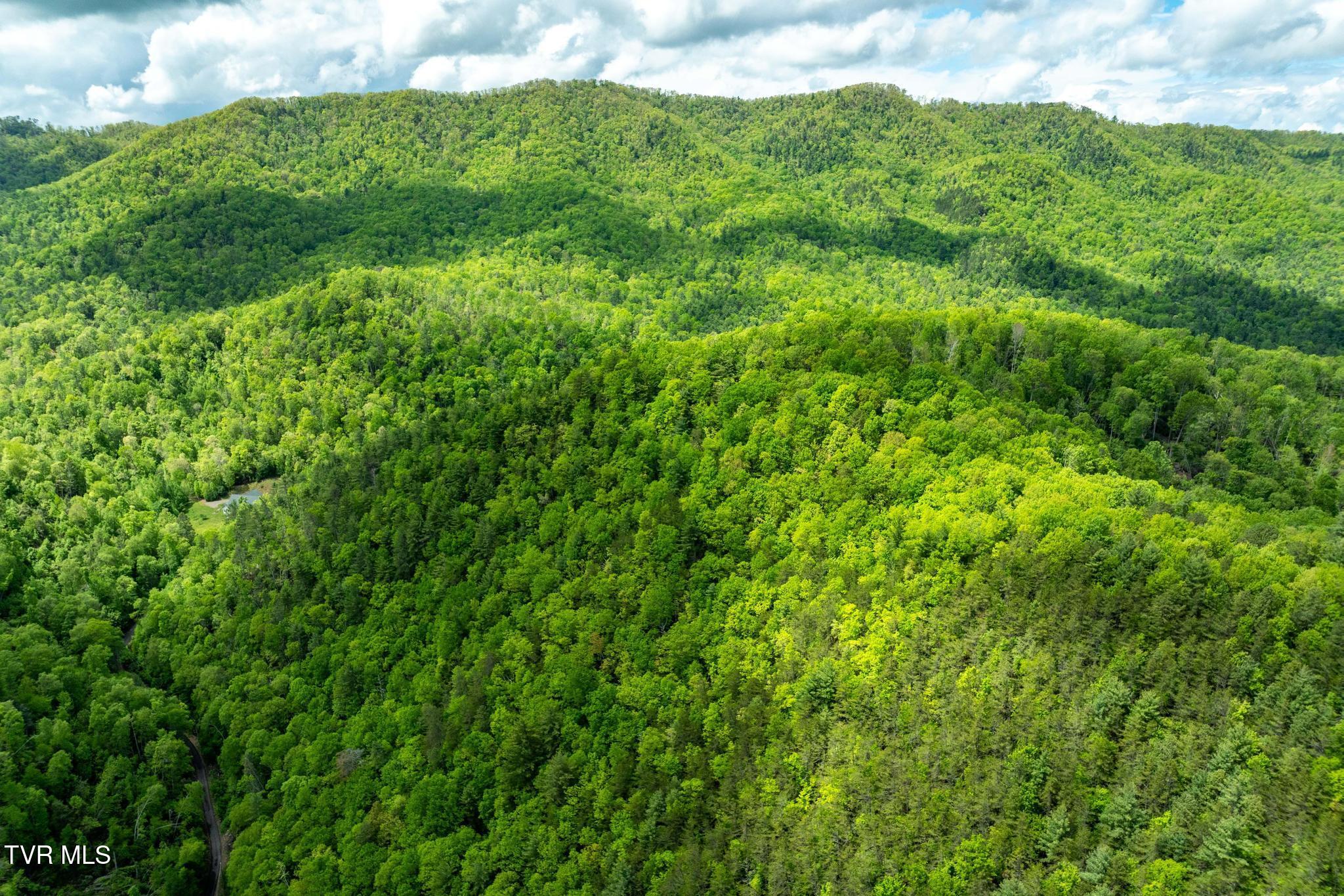 Tbd Fire Tower Road Mountain City, TN 37683 - Photo 12 of 19 TBD Fire Tower Road (15 of 22)