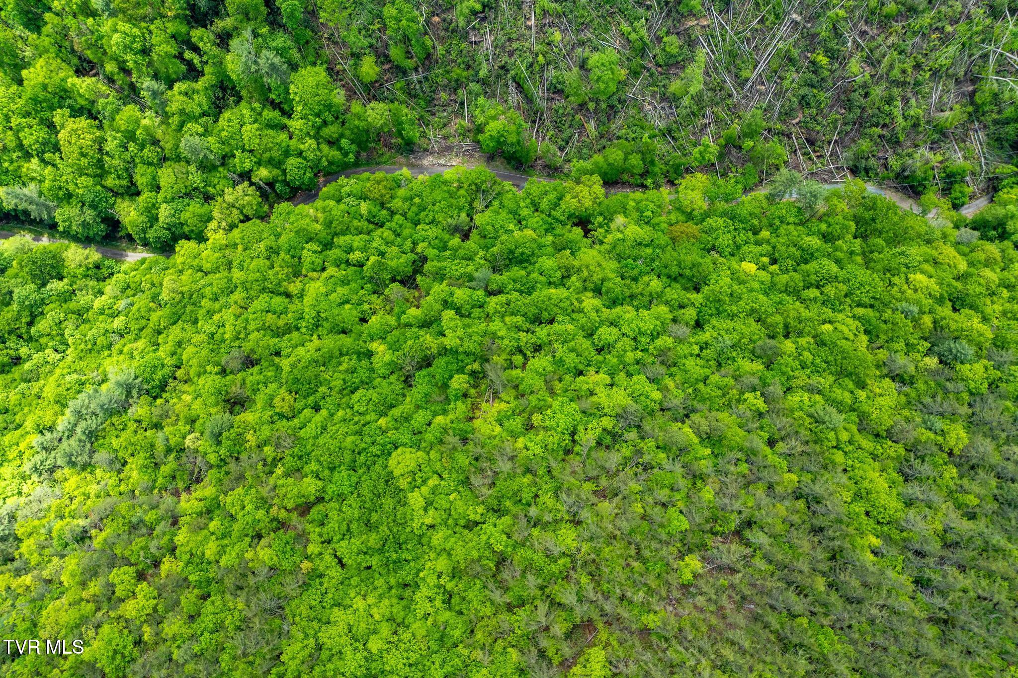 Tbd Fire Tower Road Mountain City, TN 37683 - Photo 13 of 19 TBD Fire Tower Road (16 of 22)