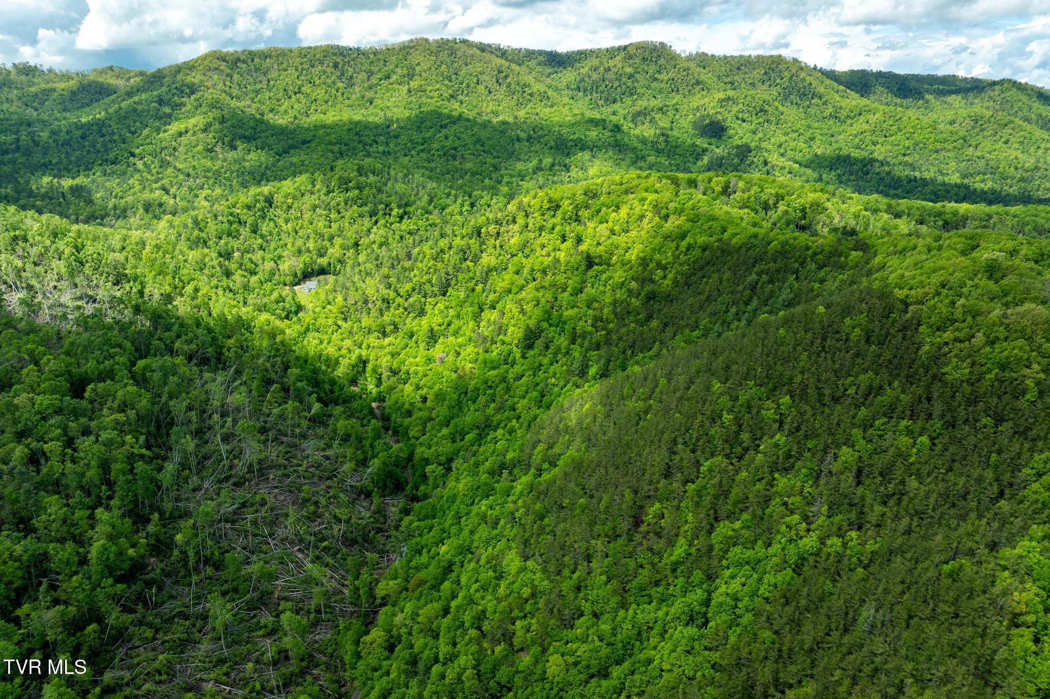 Tbd Fire Tower Road Mountain City, TN 37683 - Photo 14 of 19 TBD Fire Tower Road (17 of 22)