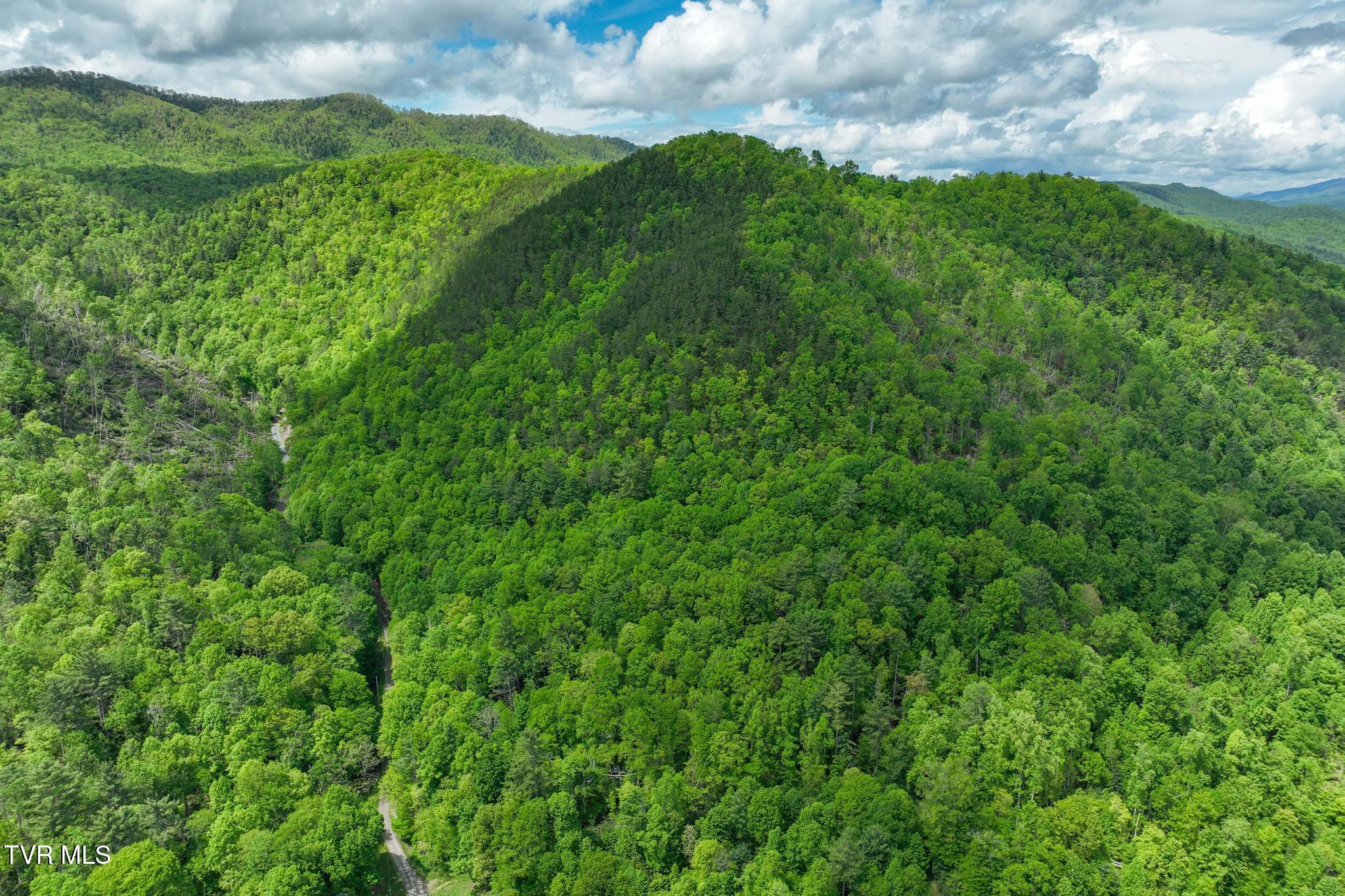 Tbd Fire Tower Road Mountain City, TN 37683 - Photo 15 of 19 TBD Fire Tower Road (18 of 22)