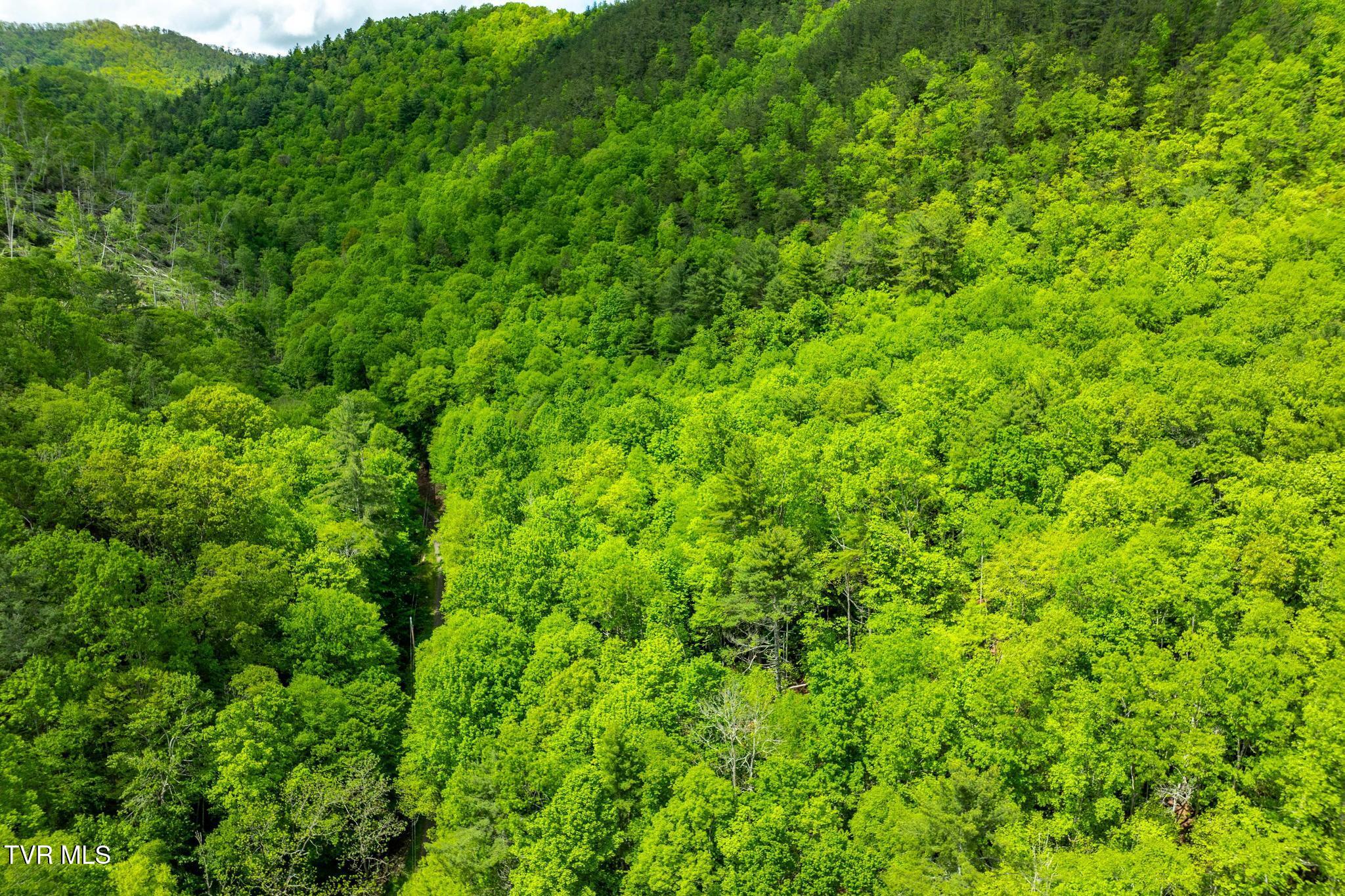 Tbd Fire Tower Road Mountain City, TN 37683 - Photo 17 of 19 TBD Fire Tower Road (20 of 22)